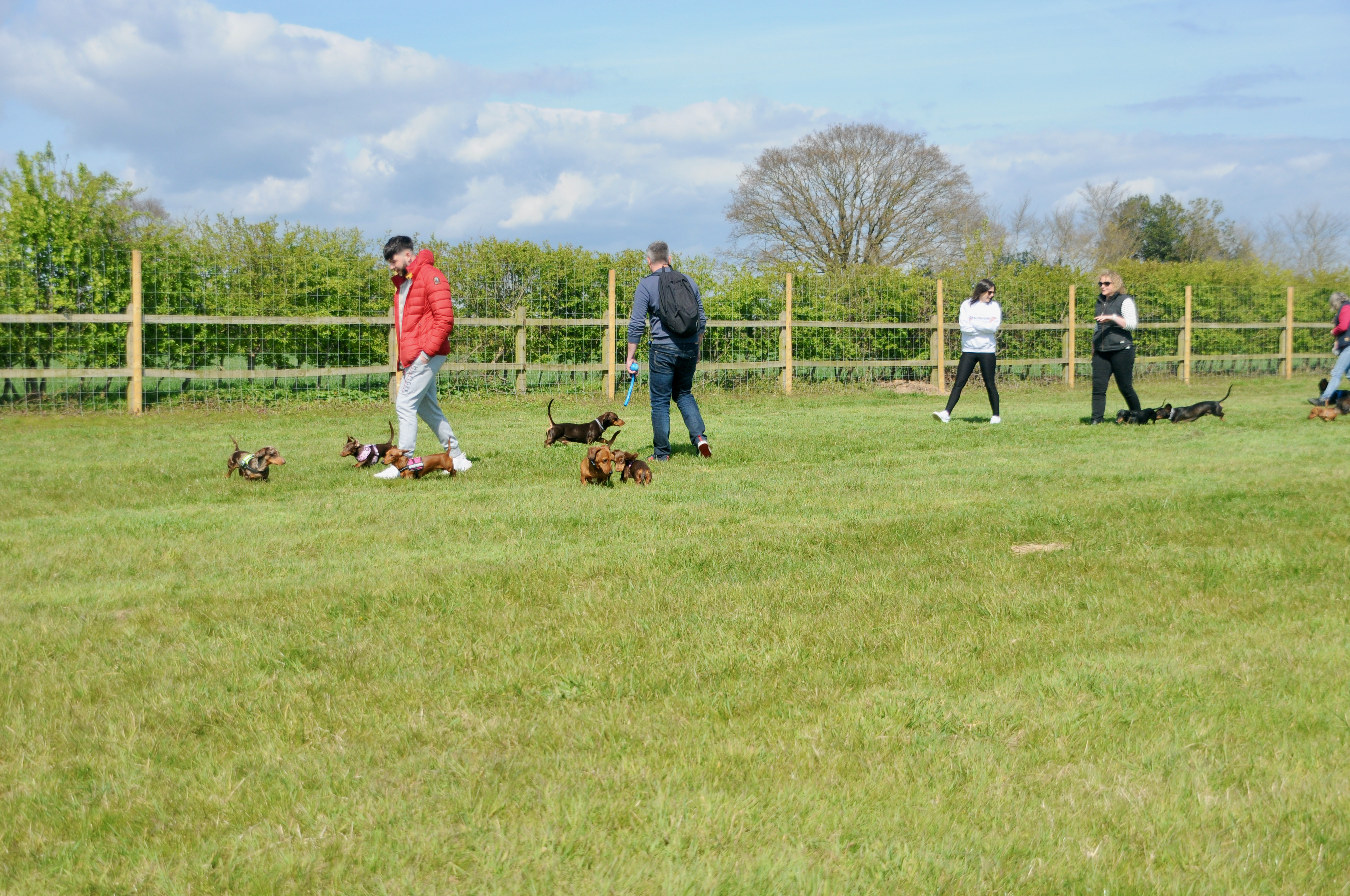 Secure paddock to play (Picture credit: Peninsula Nub News)