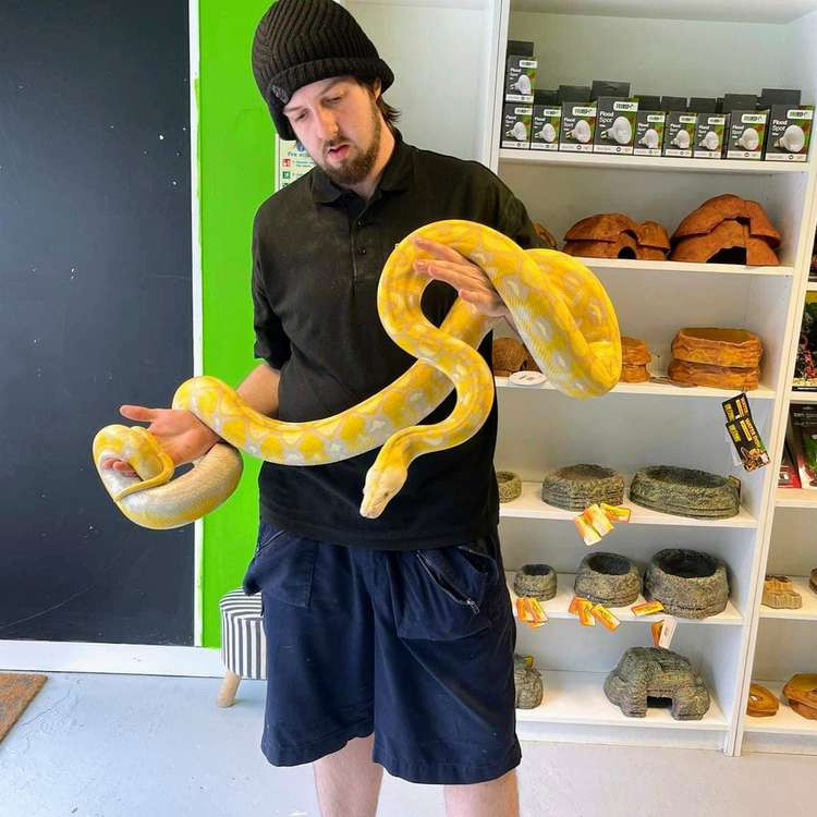 Store Manager of Evolutionary Exotics, Josh Flood. (Josh Flood)