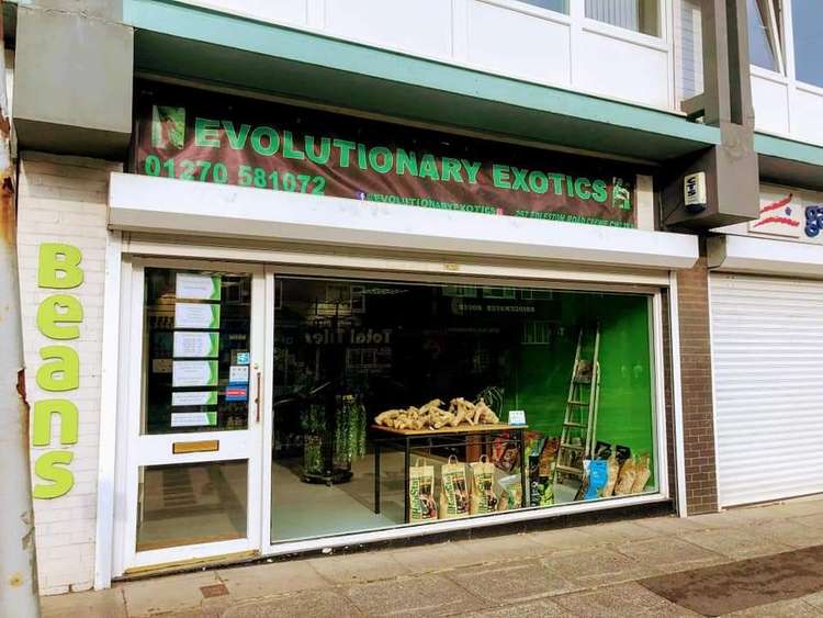 Evolutionary Exotics located on Edleston Road, Store. (Evolutionary Exotics)