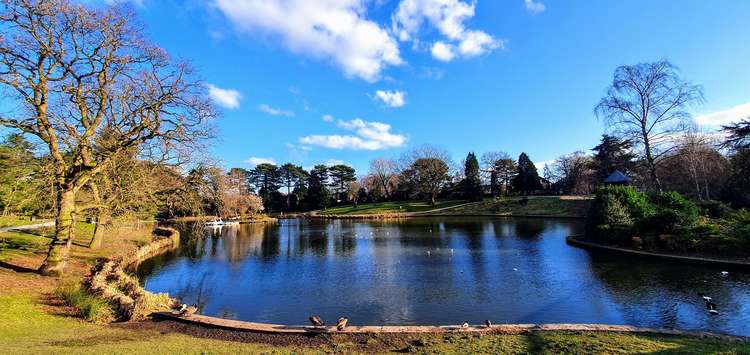 Queens Park lake is home to a number of birds, including swans and geese.