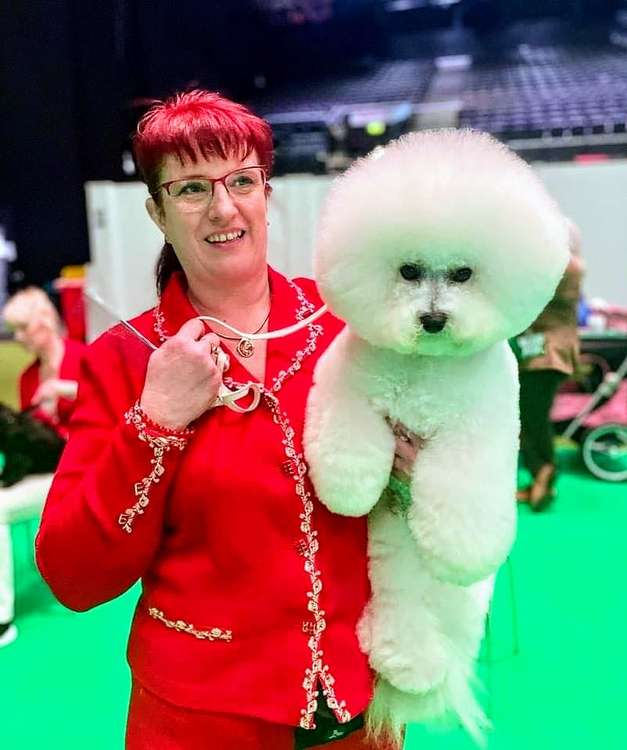 Lisa Mault with her Bichon Frise at Crufts 2022.