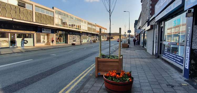 The planters in the spring sunshine.