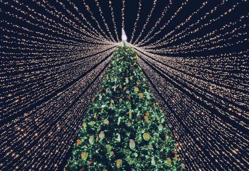 Battersea is set to dazzle with Christmas lights this year (credit: Unsplash)