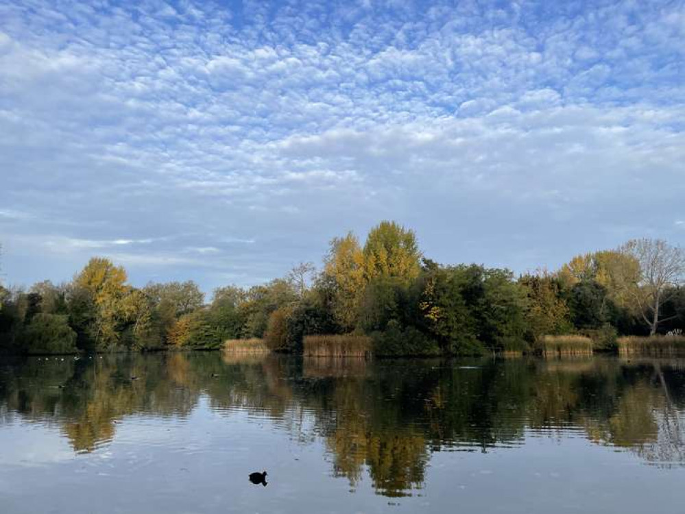 Bright sunshine over the pond in Battersea Park (credit: Lexi Iles)