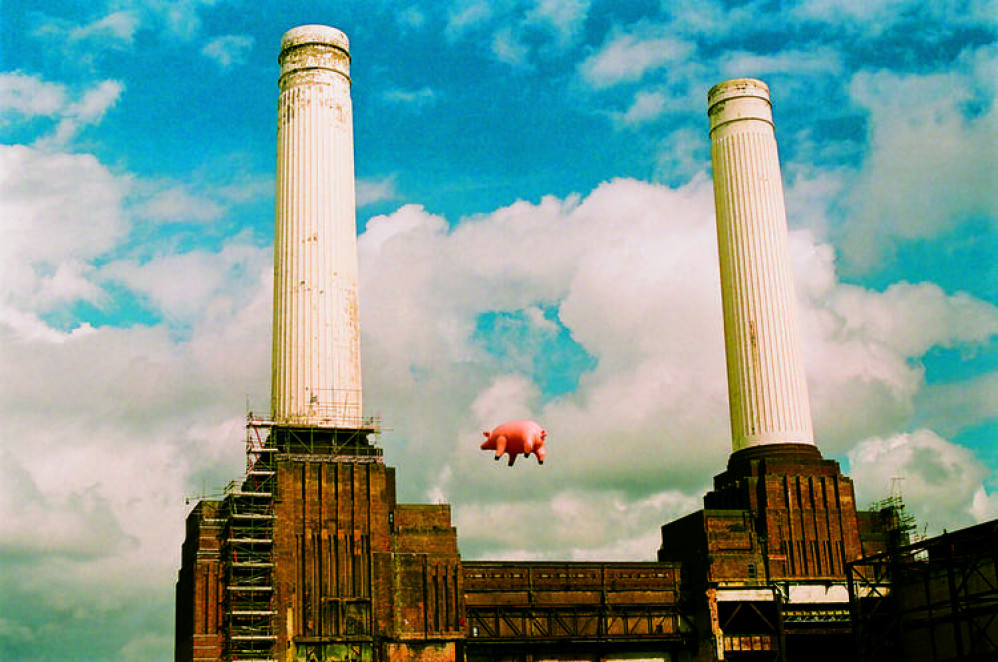 pink floyd animals pig