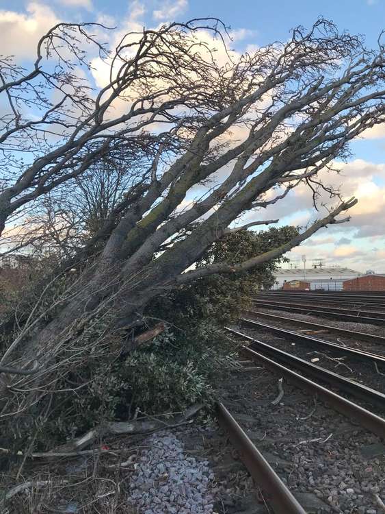 Storm Eunice has blown a tree onto the train track at Queenstown Road (credit: Network Rail)