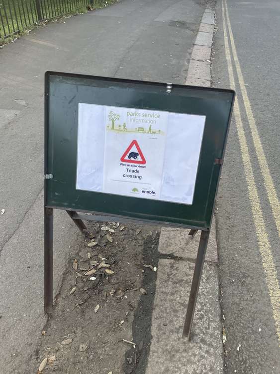 Temporary signage has been erected in the park to caution visitors