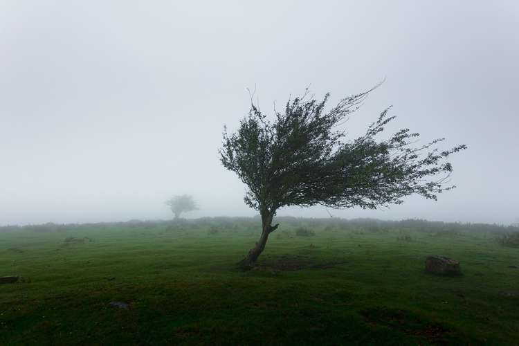 Letchworth: Storm Barra weather warnings issued less than a week after Storm Arwen. CREDIT: Unsplash