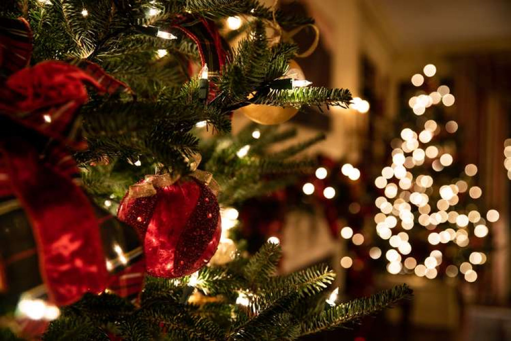 Stuck for ways to recycle your Christmas tree in Letchworth: Why not Treecycle - find out more