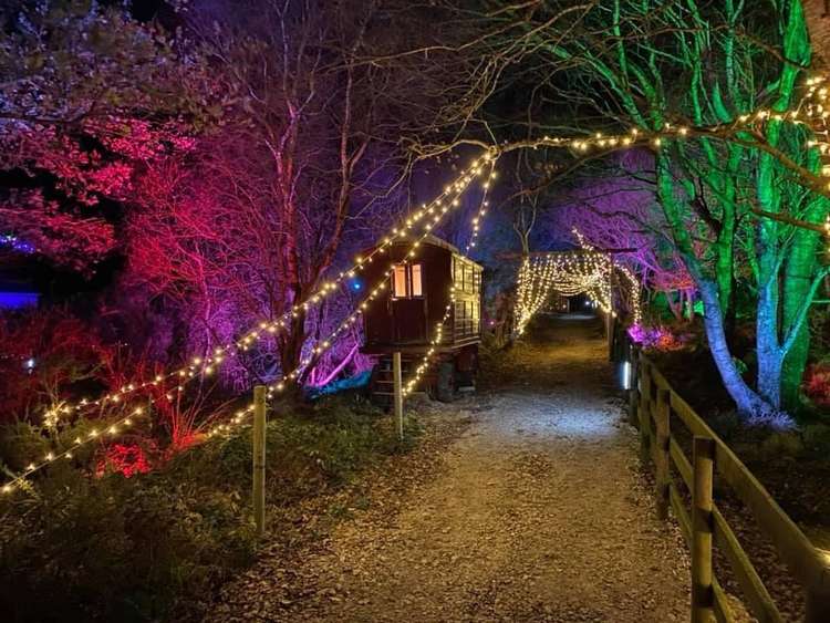 Nutley Farm's Christmas Lights and Reindeer Experience will raise money for Dorset and Somerset Air Ambulance