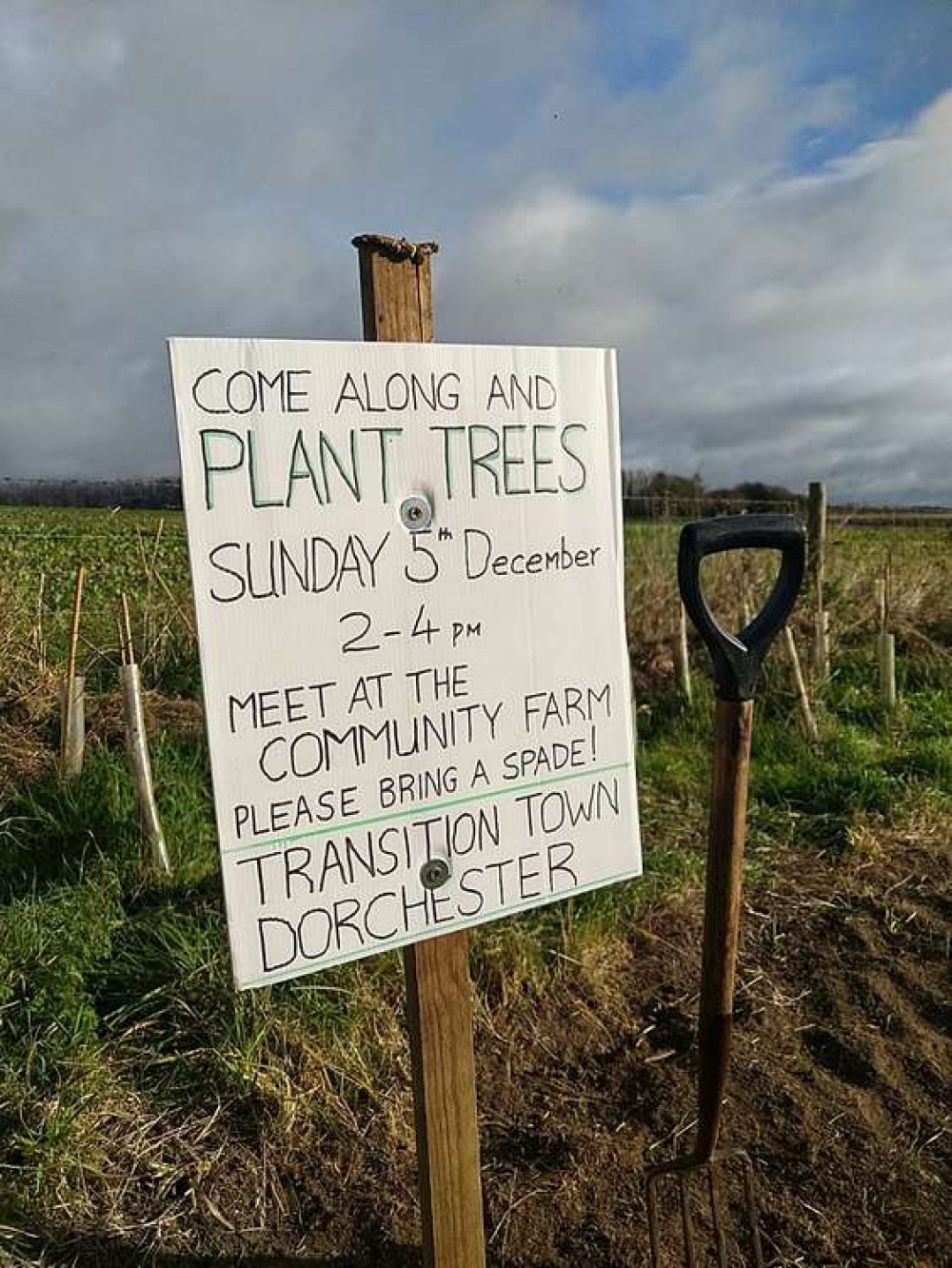 Transition Town Dorchester is looking for volunteers to help plant trees
