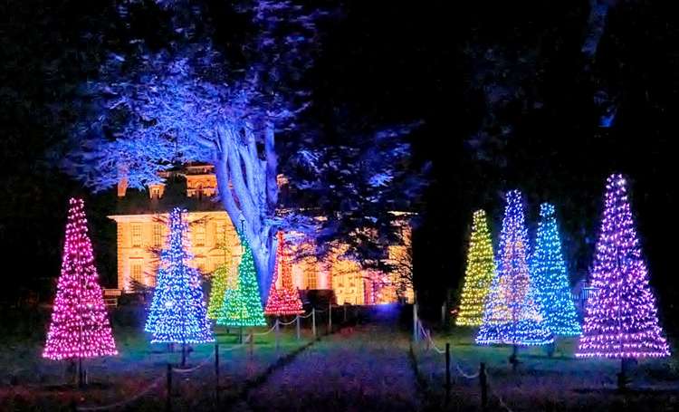 The illuminated Christmas trail at Kingston Lacy (Image: Sony Music)