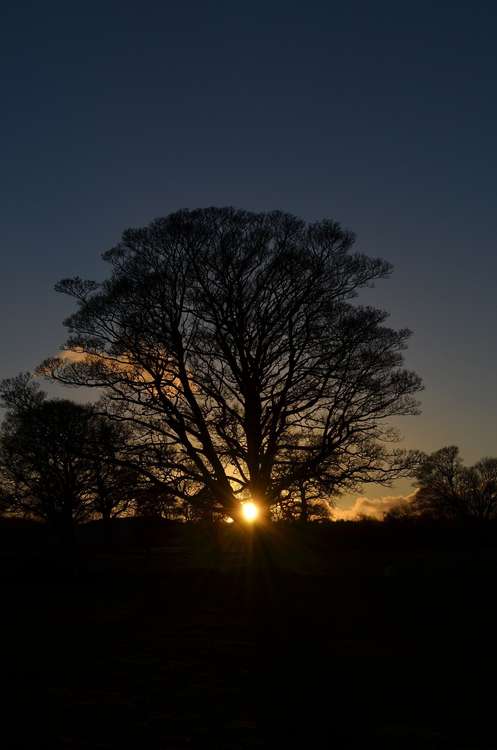 December 21 marks the Winter Solstice