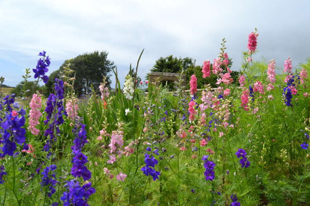 Pick your own Mother's Day bouquet with Abbey Farm Flowers