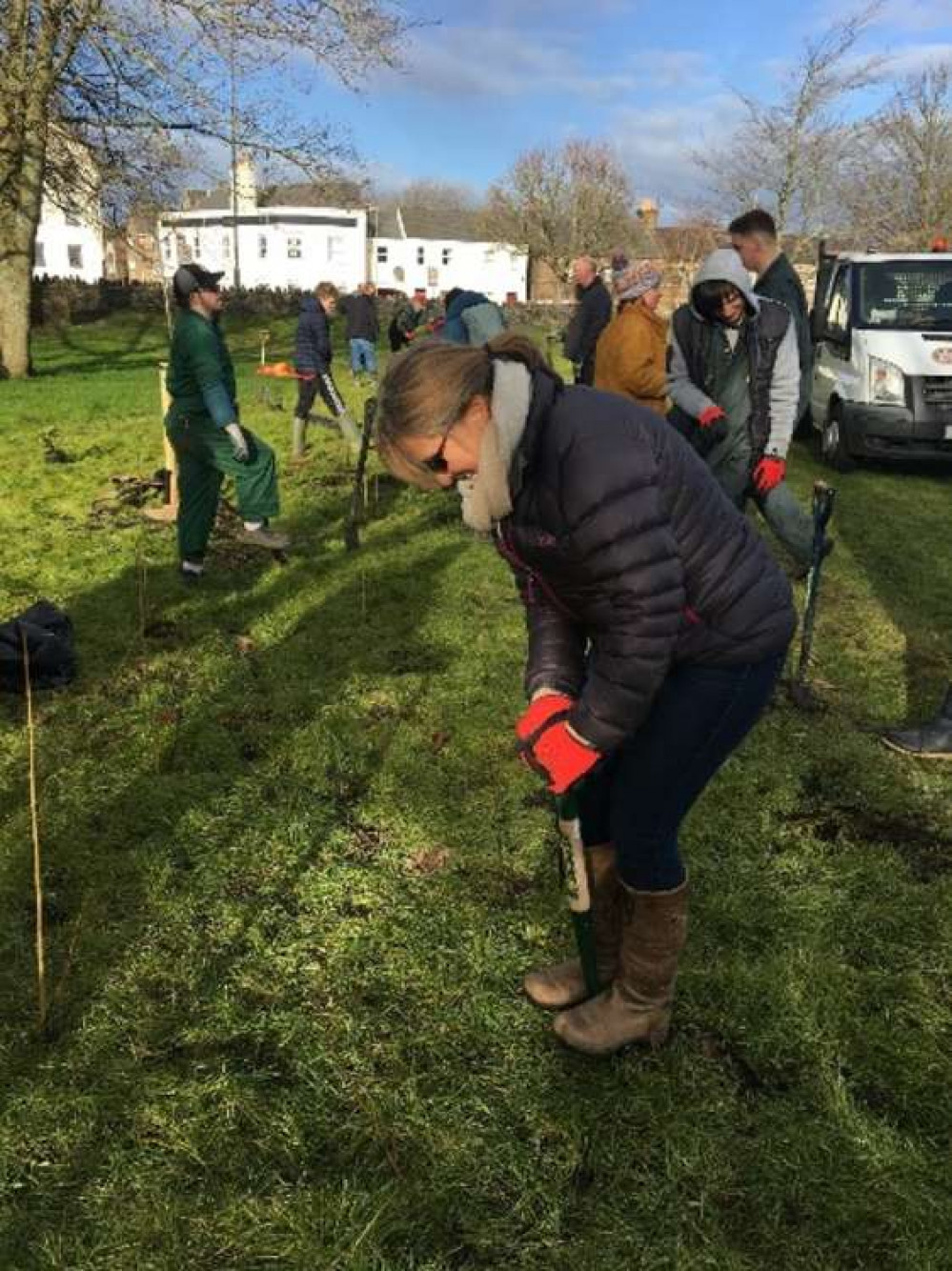 Volunteers came together to plant 600 trees in Dorchester's Kings Road