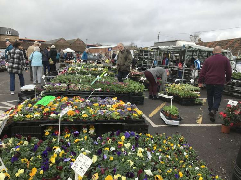 Dorchester markets continues to suffer financially