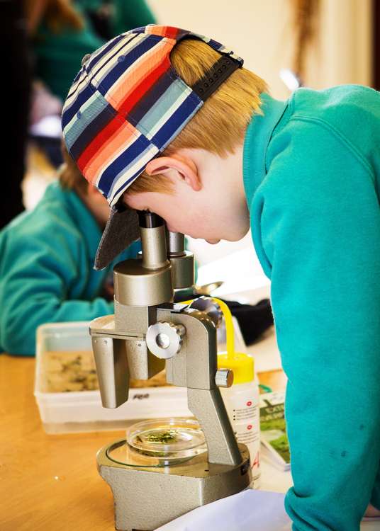 Dorchester Family Science Fair has expanded into a 10-day festival