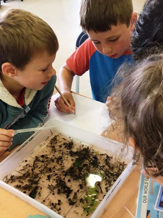 Dorchester Family Science Fair has expanded into a 10-day festival