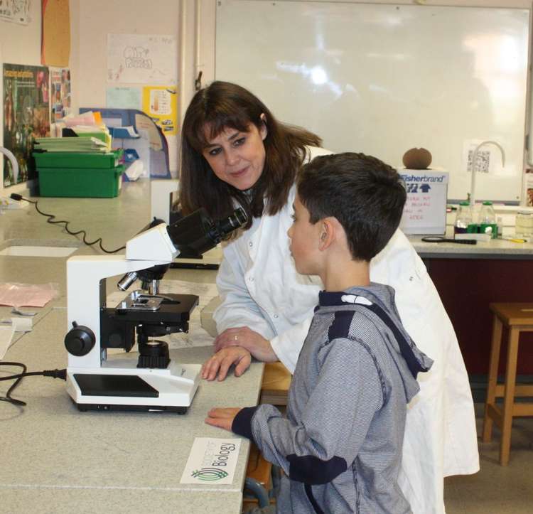 Dorchester Family Science Fair has expanded into a 10-day festival