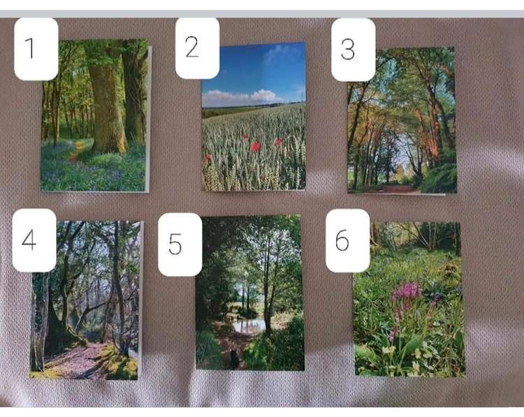 Some of the cards from Rachel's Hidden Dorset range