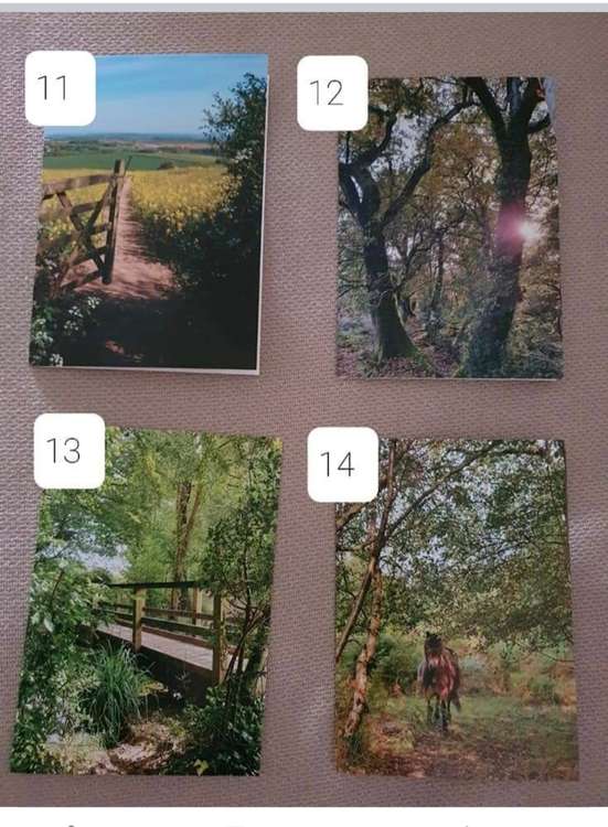 Some of the cards from Rachel's Hidden Dorset range