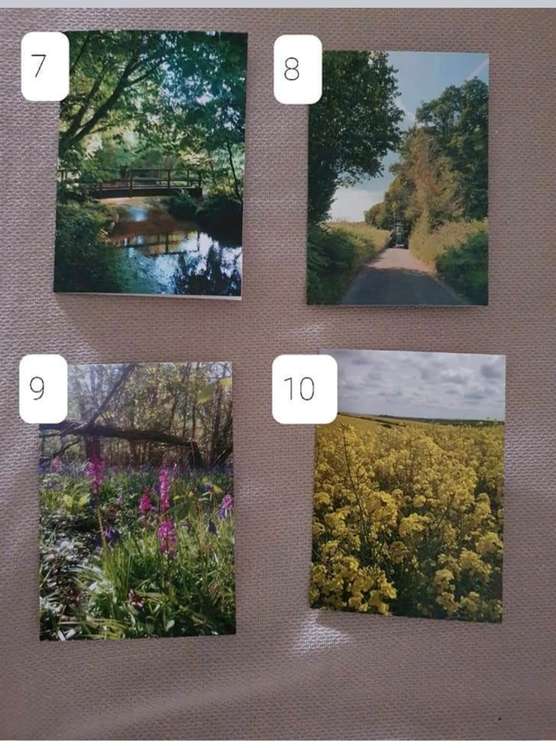 Some of the cards from Rachel's Hidden Dorset range