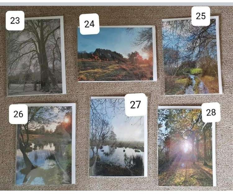 Some of the cards from Rachel's Hidden Dorset range