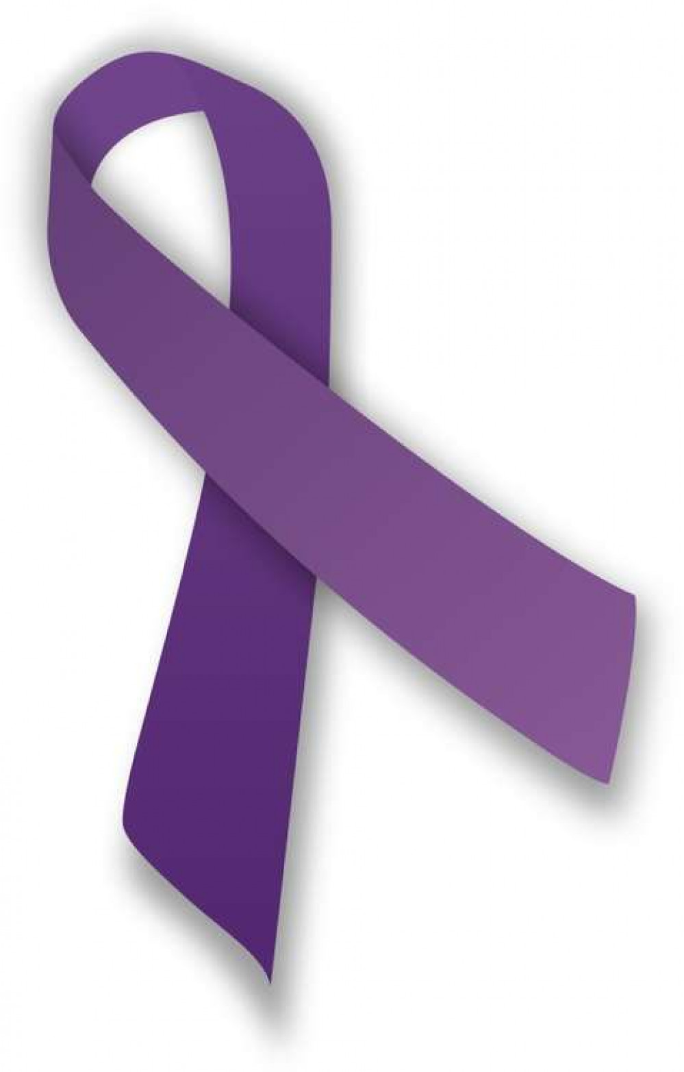 The purple ribbon is used to symbolise Domestic Violence Awareness. © MesserWoland. This file is licensed under the Creative Commons Attribution-Share Alike 3.0 Unported license.