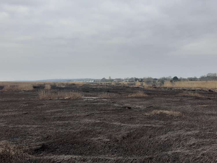 The aftermath of the marsh fire at Parkgate - Picture: RSPB Burton Mere Wetlands