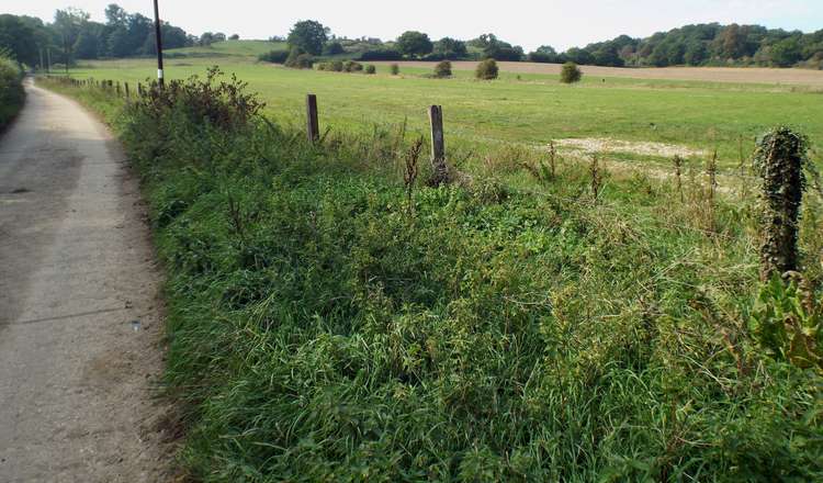 Horses and hounds will meet at Holbecks Lane