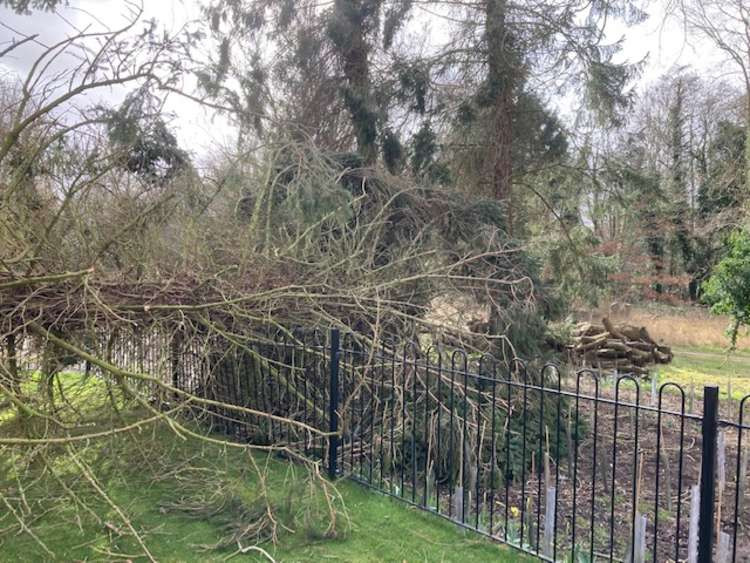 Tree down in centre of Hadleigh (Picture contributed)