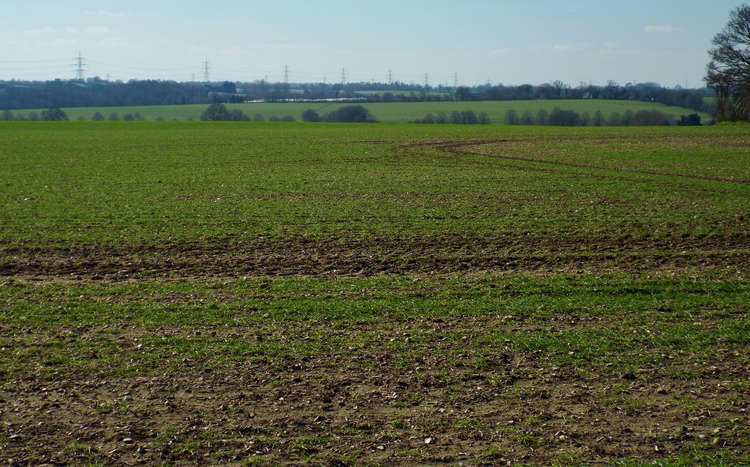 Pylons skirting Hadleigh (Picture credit: Nub News)