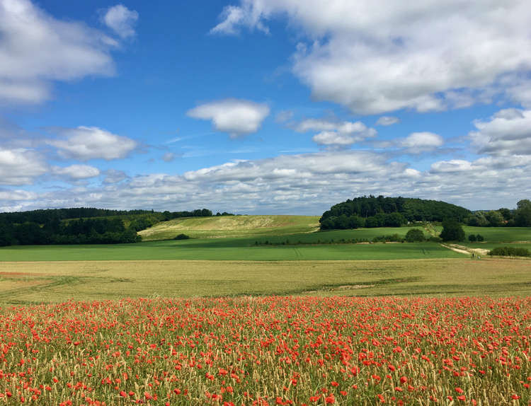 The walk will take place at 2:30pm this Saturday. Image courtesy of Hucknall Against Whyburn Farm Development.