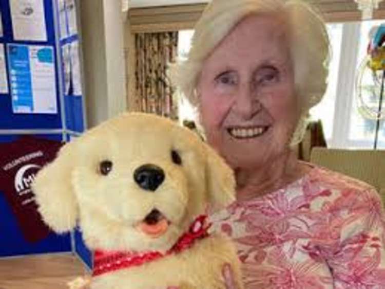 Robotic pets are boon for elderly