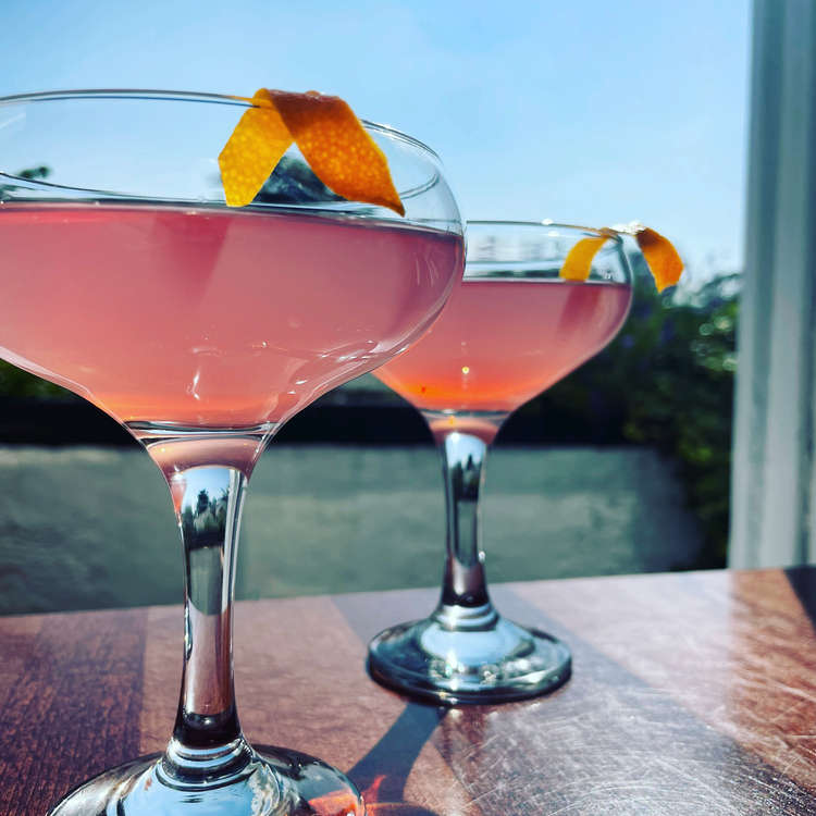 Cosmo's in the sun. Credit: Hat or Lemon