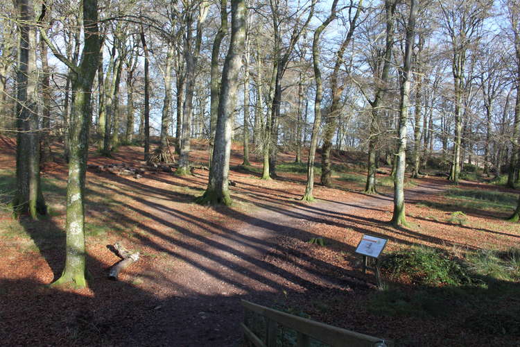 Inside Woodbury Castle (Mike Menhenitt)