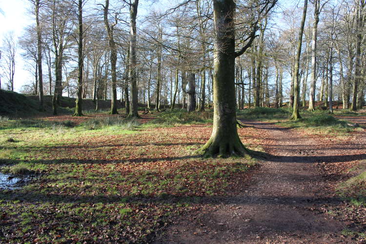 Inside Woodbury Castle (Mike Menhenitt)