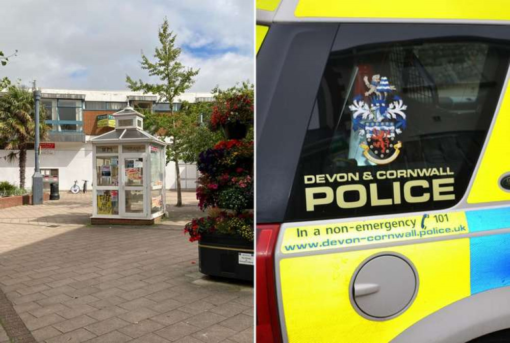 L: Magnolia Walk, Exmouth (Nub News, Will Goddard). R: Devon and Cornwall Police vehicle (Pixabay)