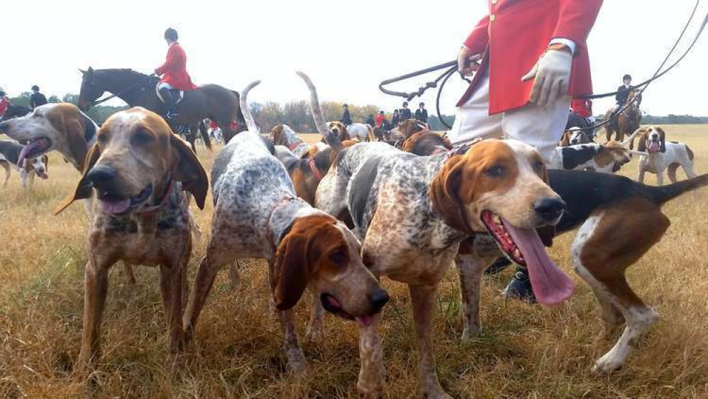 Cornwall Council is set to discuss a call to ban trail hunting on public land. File picture of a hunt meet.