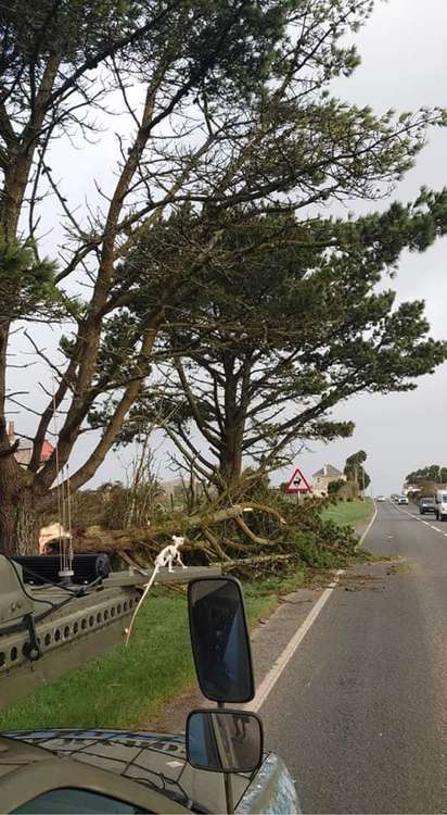 A photo of trees being cleared off the road. Shared by Peter Marland.