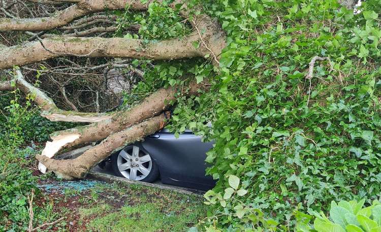 The tree was brought down by Storm Eunice crushing the vehicle. Shared by Phillip Parker.