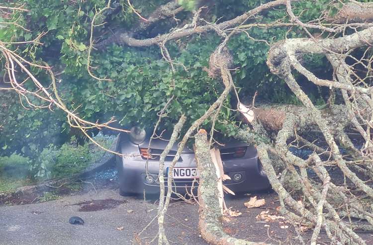 The tree was brought down by Storm Eunice crushing the vehicle. Shared by Phillip Parker.