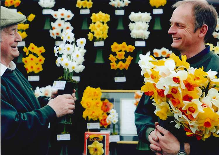 Falmouth daffodil growers Ron (left) and his son Adrian (right) with their display of historic and new daffodils bred by the Scamps. Their stand a favourite at the show and returns this year. Credit: Falmouth Spring Flower Show Archive.