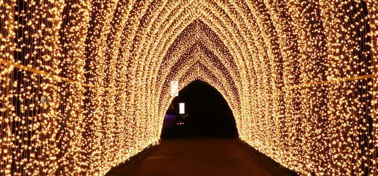 The ever-popular Christmas Cathedral of lights (Image: ©RBG Kew)