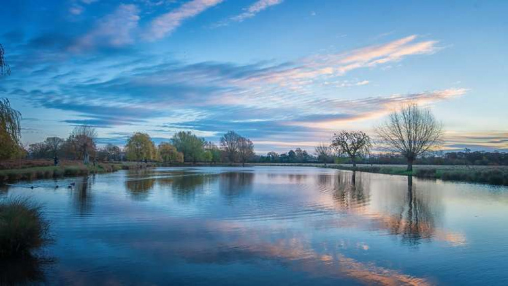 A beautiful blue morning in Bushy Park this weekend (Image: Sue Lindenberg)