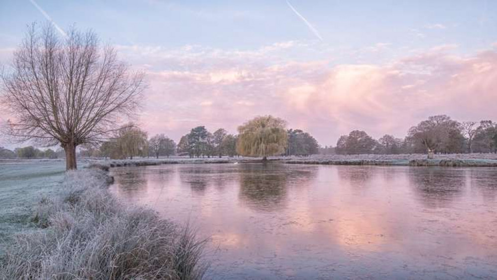 A winter morning in Bushy Park (Image: Sue Lindenberg)