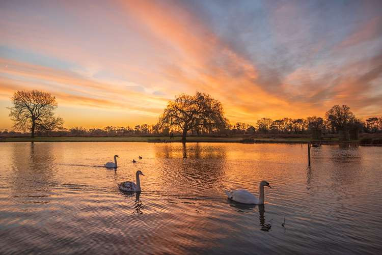 Sunrise over the Heron Pond in Bushy Park (Image: Sue Lindenberg)