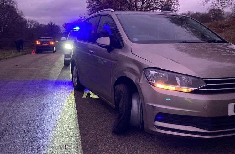 The crash in Richmond Park. Police are on the scene (Image: Royal Parks Police)