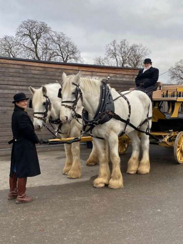 Horse and carriage rides across Bushy Park are available throughout Christmas and New Year