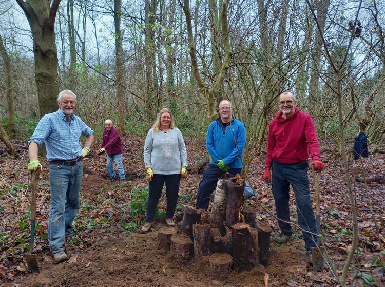 Bushy Park conservation volunteers were out building loggeries yesterday (Image: Royal Parks)